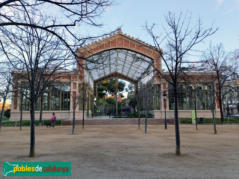 Barcelona - Parc de la Ciutadella. Hivernacle