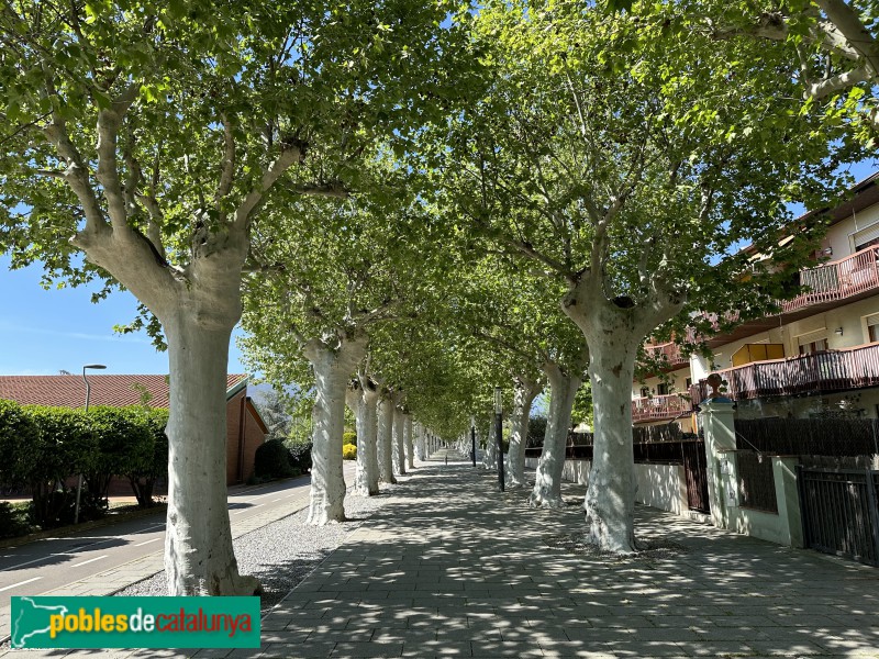 Santa Maria de Palautordera - Passeig del Remei