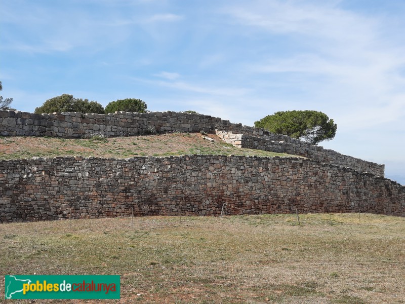 El Brull - Muralles de Montgròs (Foto: Ferran Artigas, 2023) El Brull - Muralles de Montgròs