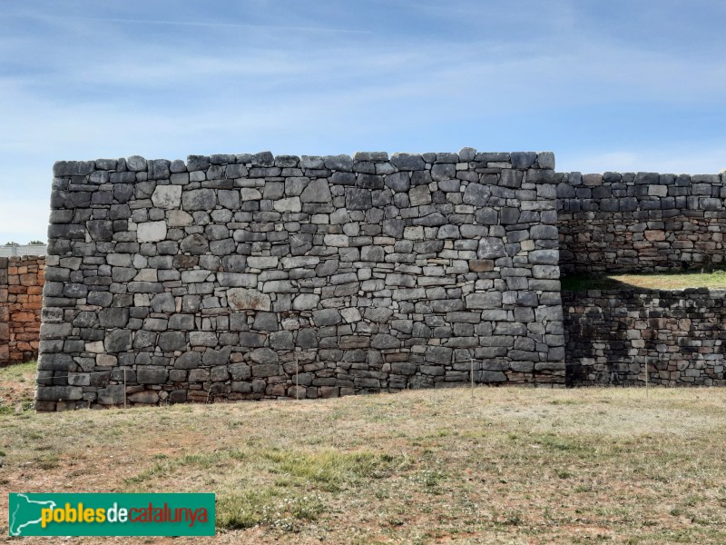 El Brull - Muralles de Montgròs (Foto: Ferran Artigas, 2023) El Brull - Muralles de Montgròs
