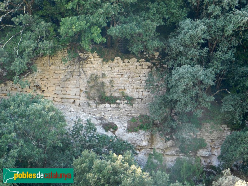 Vilanova de Sau - Restes del castell de Cornil (Foto: Ferran Artigas, 2017) Vilanova de Sau - Restes del castell de Cornil