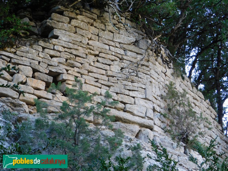 Vilanova de Sau - Restes del castell de Cornil (Foto: Ferran Artigas, 2017) Vilanova de Sau - Restes del castell de Cornil