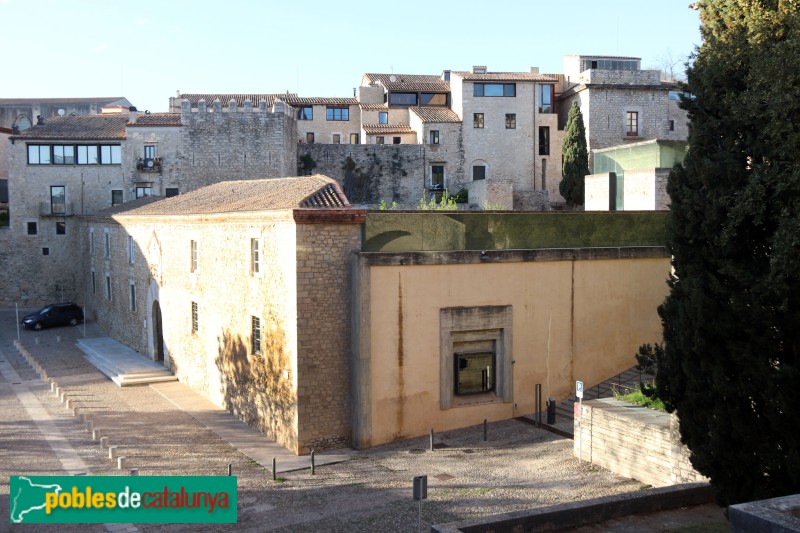 Girona - Les Àligues. Estudi General