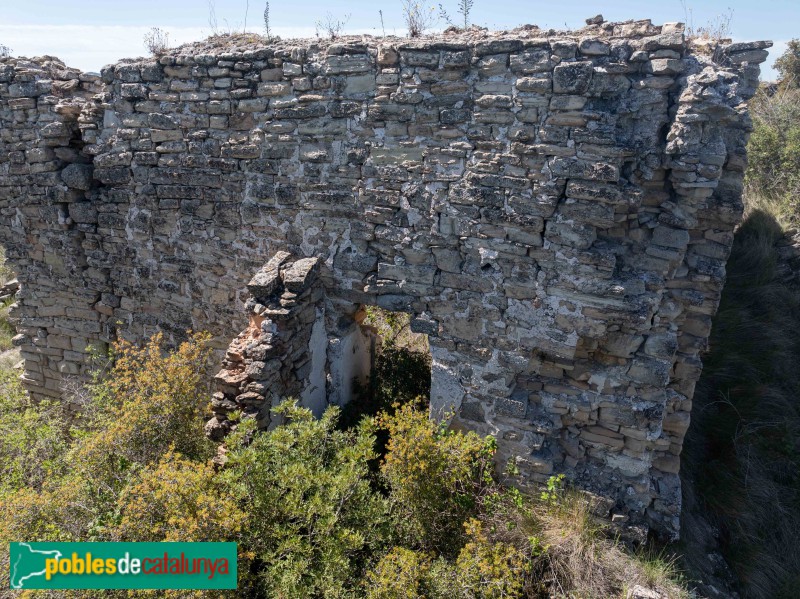 Conesa - Torlanda