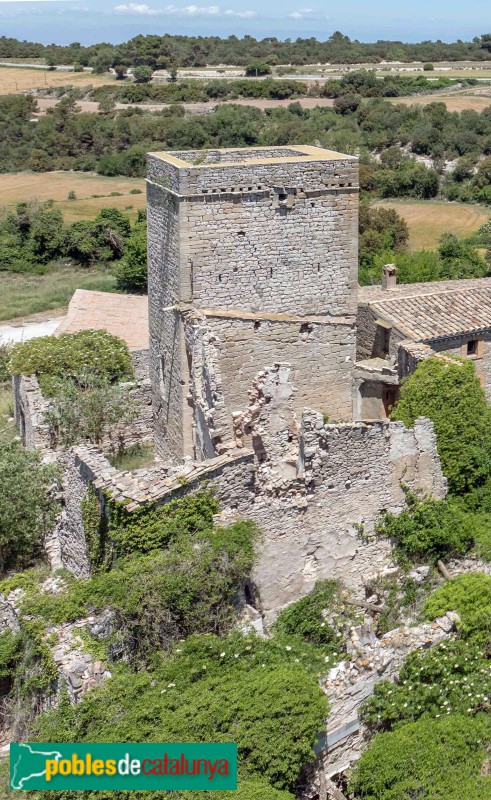 La Sala de Comalats - Castell