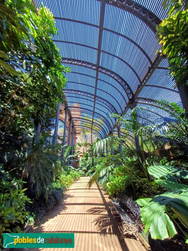 Barcelona - Parc de la Ciutadella - Umbracle