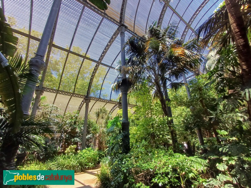 Barcelona - Parc de la Ciutadella - Umbracle