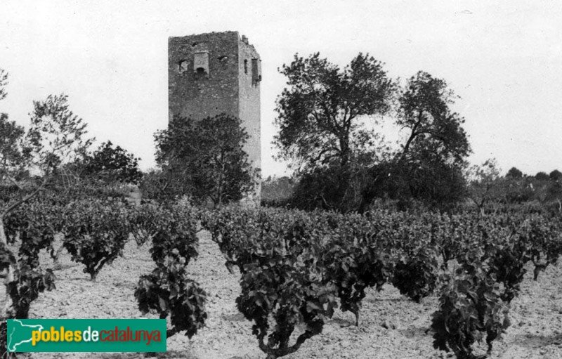 Cambrils - Torre del Mas del Bisbe