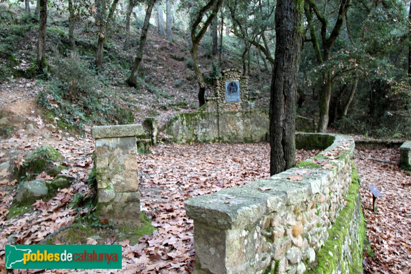 Santa Coloma de Farners - Parc de Sant Salvador