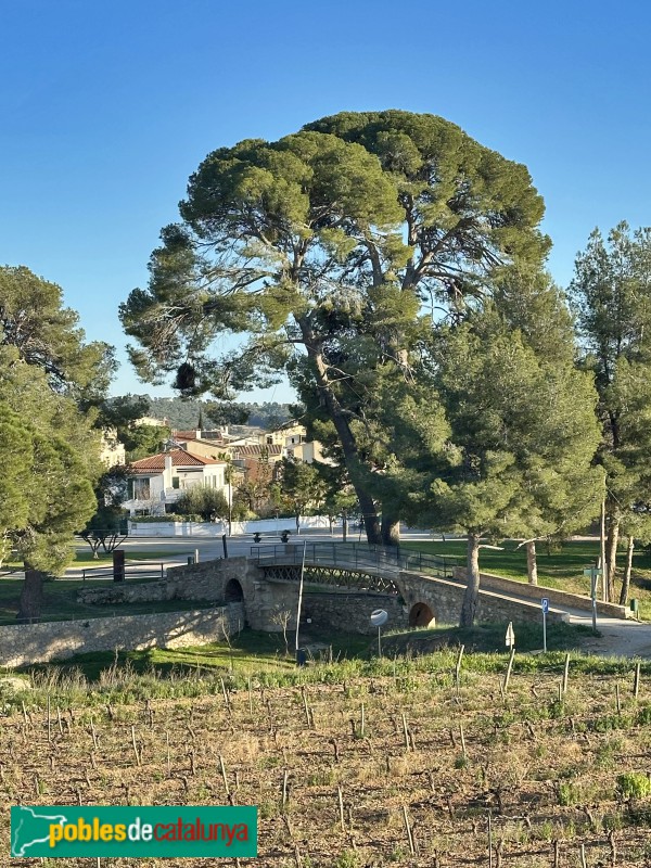 Sant Pere de Ribes - Pont de la Palanca