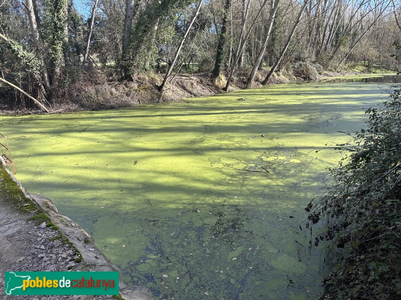 Cassà de la Selva - Resclosa de la Capçana