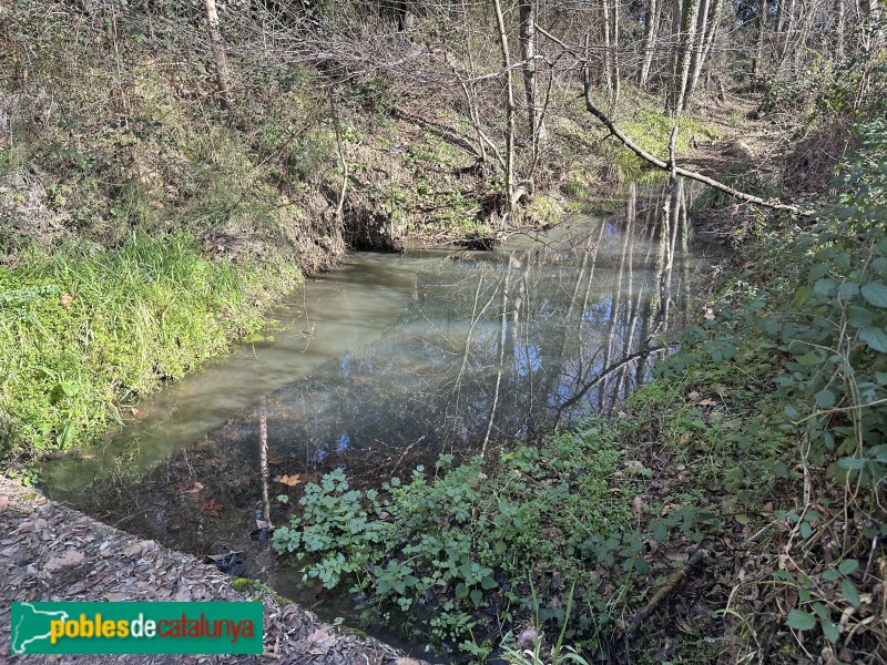 Cassà de la Selva - Resclosa de la Capçana