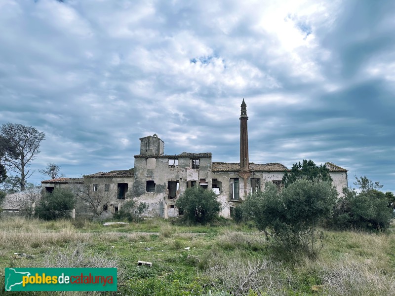 Botarell - Mas d'en Perdiu (Foto: Albert Esteves, 2025) Botarell - Mas d'en Perdiu