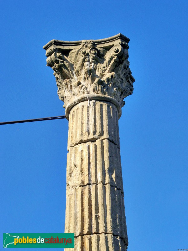 Tarragona - Fòrum de la colònia. Columna de la basílica (Foto: Albert Esteves, 2008) Tarragona - Fòrum de la colònia. Columna de la basílica