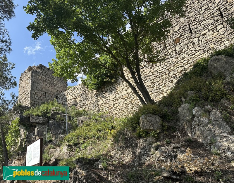L'Albiol - Castell (Foto: Albert Esteves, 2025) L'Albiol - Castell