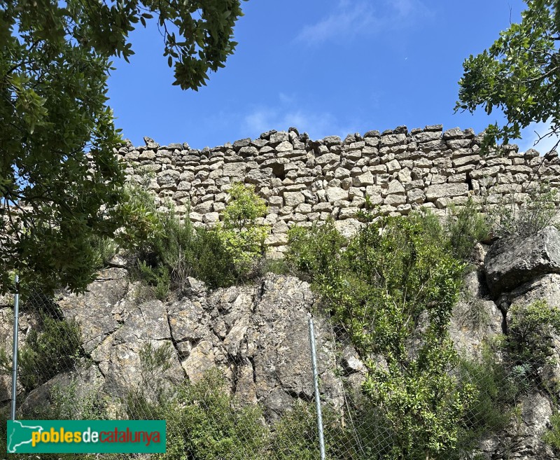 L'Albiol - Castell (Foto: Albert Esteves, 2025) L'Albiol - Castell