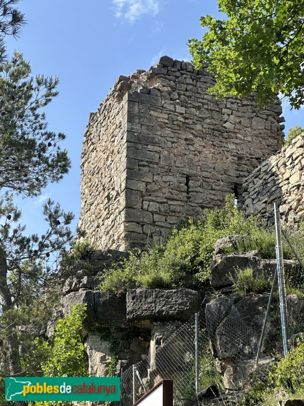L'Albiol - Castell (Foto: Albert Esteves, 2025) L'Albiol - Castell