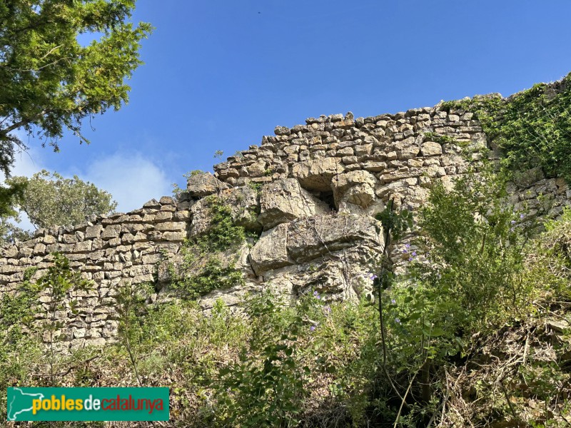 L'Albiol - Castell (Foto: Albert Esteves, 2025) L'Albiol - Castell
