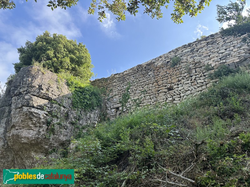 L'Albiol - Castell (Foto: Albert Esteves, 2025) L'Albiol - Castell