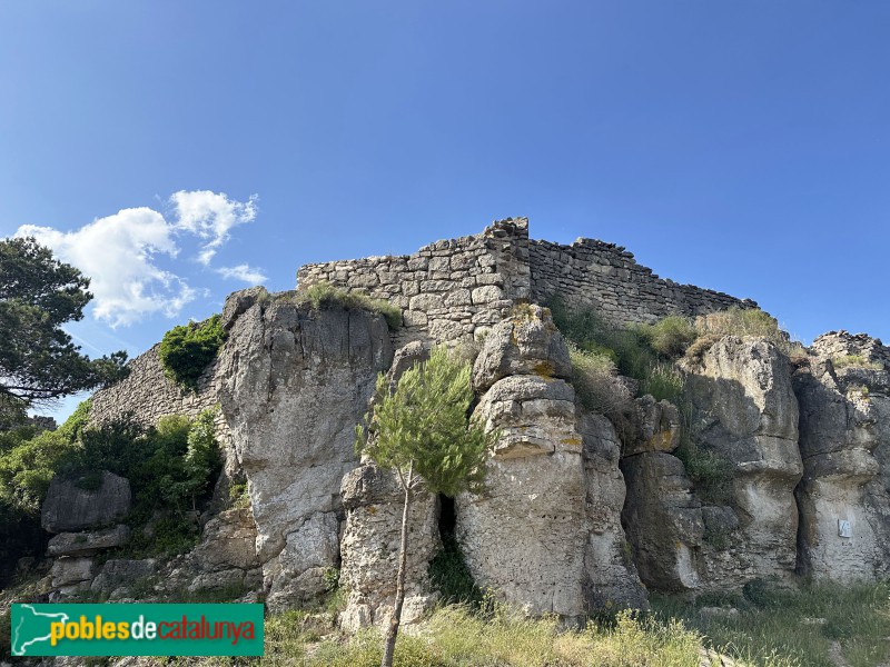 L'Albiol - Castell (Foto: Albert Esteves, 2025) L'Albiol - Castell