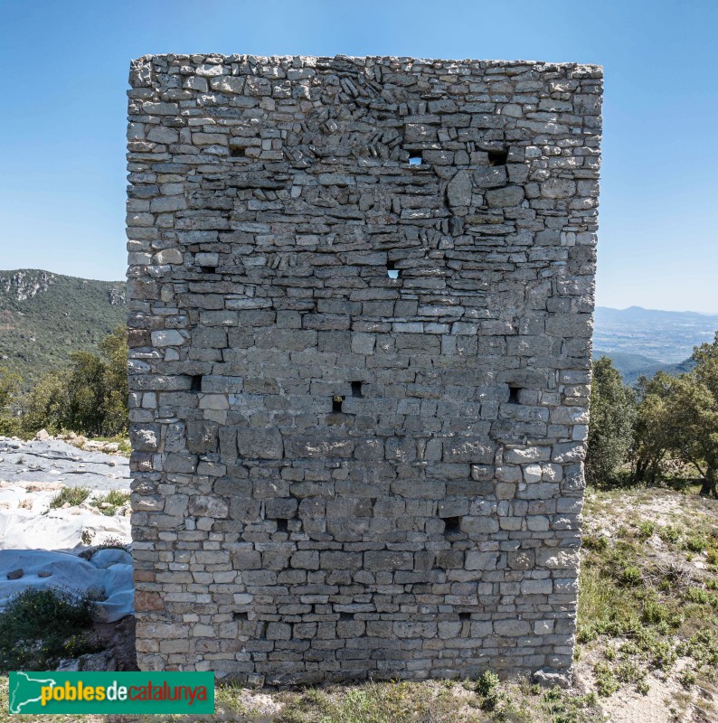 L'Albiol - Castell (Foto: Francesc Vidal-Barraquer, 2024) L'Albiol - Castell