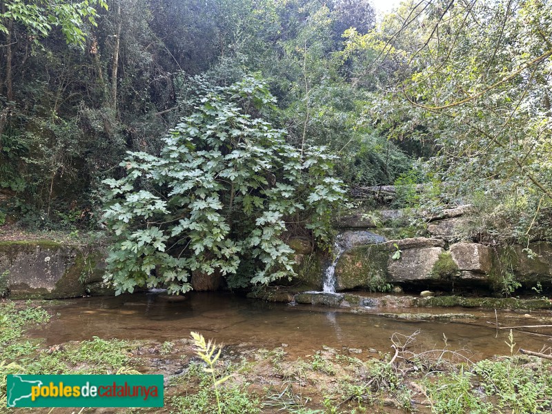 Sarrià de Ter - Molí d'en Xunclà
