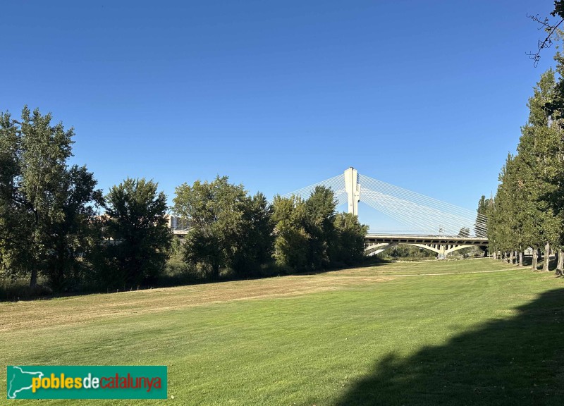 Lleida - Pont Príncep de Viana