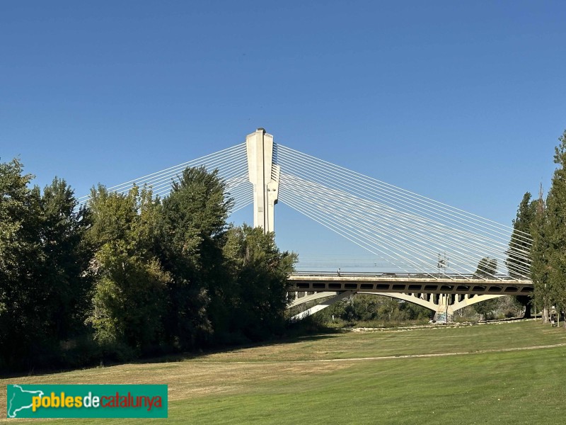 Lleida - Pont Príncep de Viana