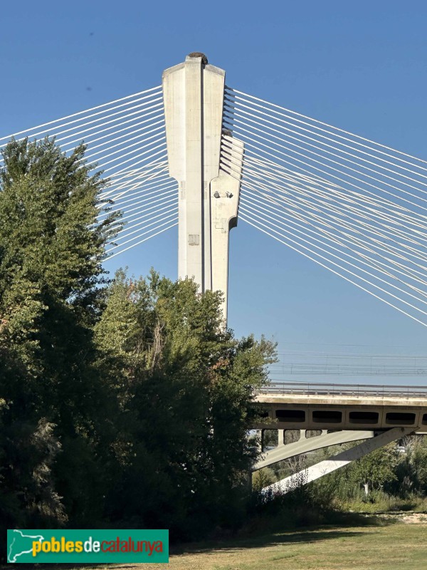 Lleida - Pont Príncep de Viana