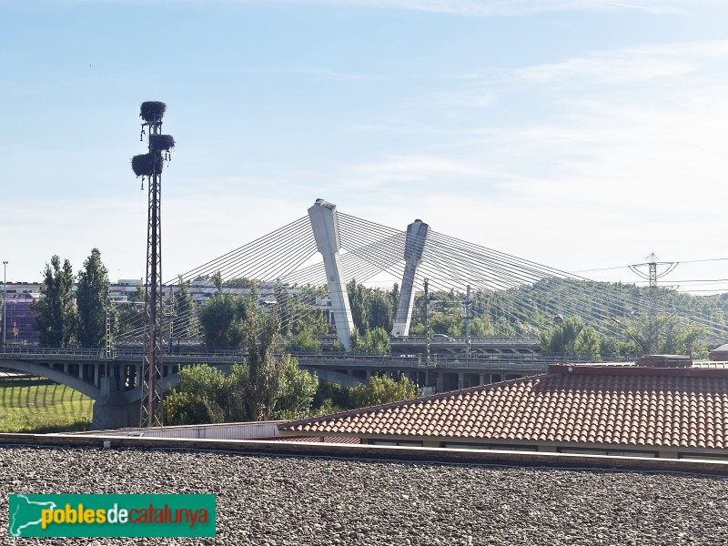 Lleida - Pont Príncep de Viana