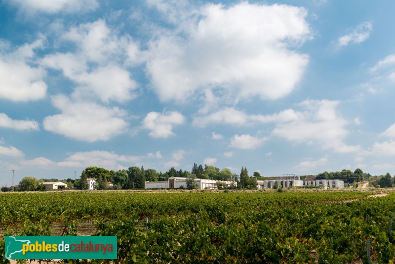 Lleida - Cellers de Raimat