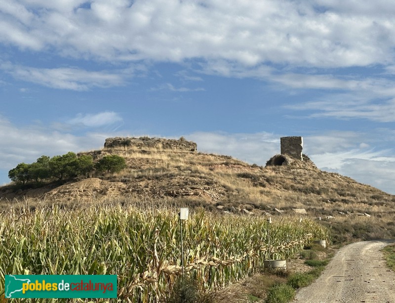 Gimenells i Pla de la Font - Castell de Gimenells (Foto: Albert Esteves, 2025) Gimenells i Pla de la Font - Castell de Gimenells