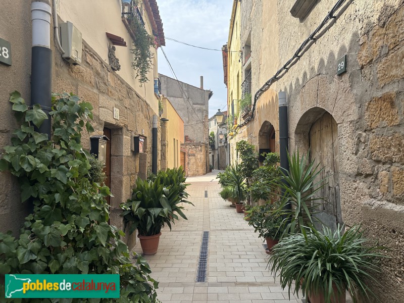 Artesa de Lleida - Carrer de la Vileta (Foto: Albert Esteves, 2025) Artesa de Lleida - Carrer de la Vileta