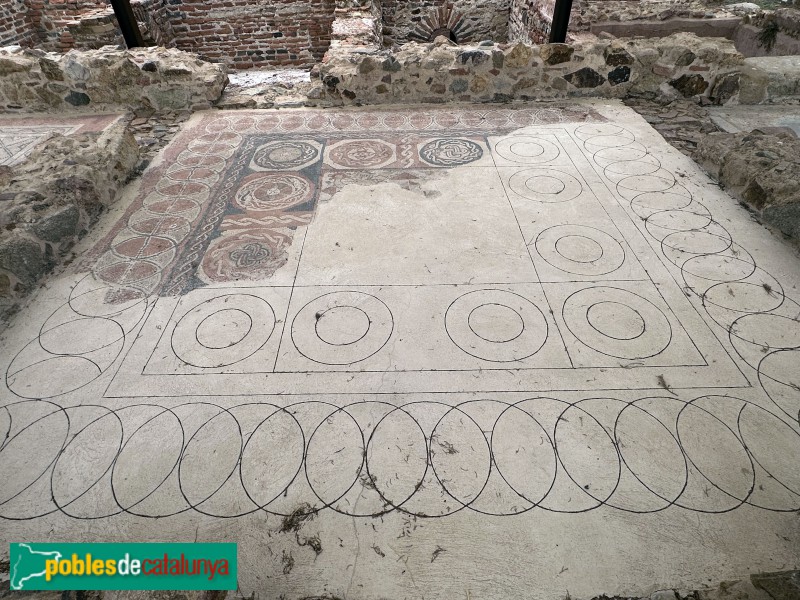 Tossa de Mar - Vil·la Romana dels Ametllers (Foto: Albert Esteves, 2025) Tossa de Mar - Vil·la Romana dels Ametllers