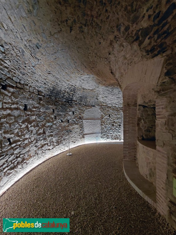 Barcelona - Torre Sobirana d'Horta. Celler