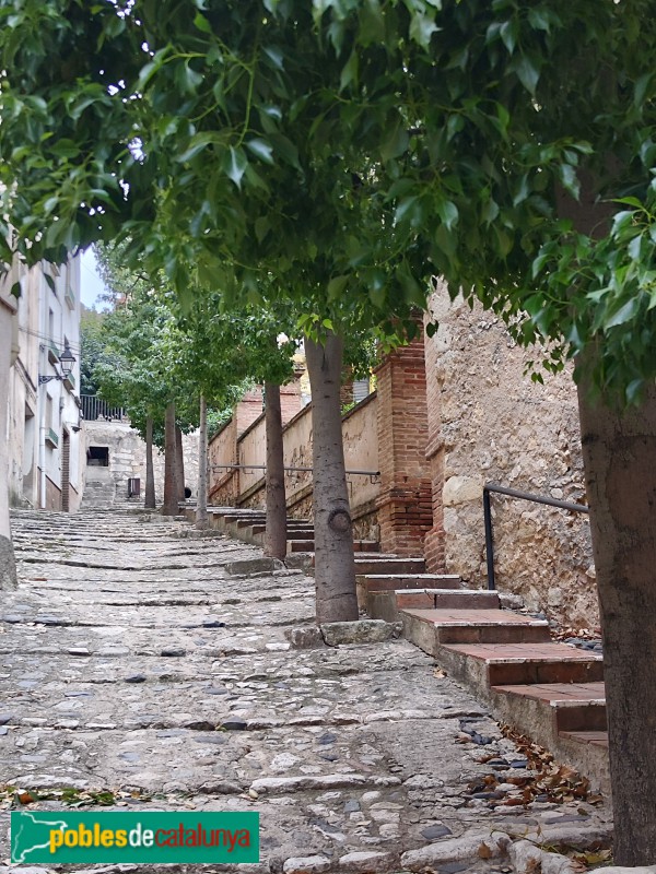 La Riba - Molí d'en Roig (Foto: Hans Nicolás, 2025) La Riba - Molí d'en Roig