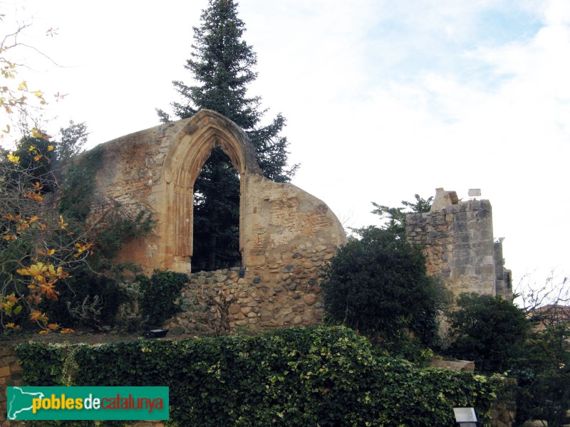 Monestir de Poblet - Ruïnes del palau abacial