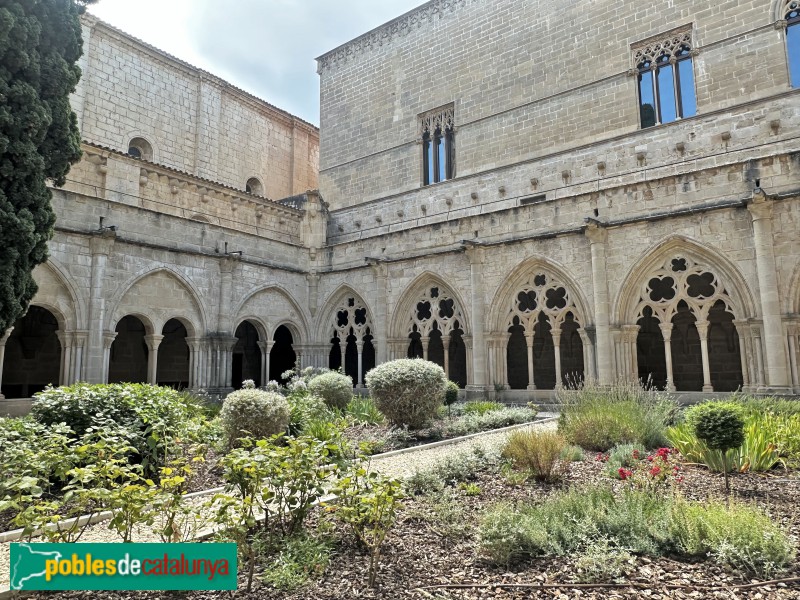 Monestir de Poblet - Claustre (Foto: Albert Esteves, 2025) Monestir de Poblet - Claustre