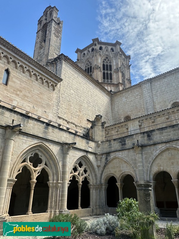 Monestir de Poblet - Claustre (Foto: Albert Esteves, 2025) Monestir de Poblet - Claustre
