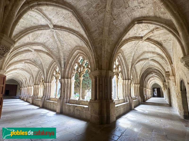 Monestir de Poblet - Claustre (Foto: Albert Esteves, 2025) Monestir de Poblet - Claustre