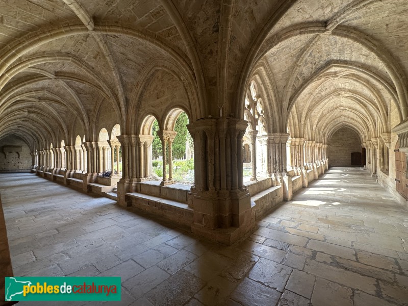 Monestir de Poblet - Claustre (Foto: Albert Esteves, 2025) Monestir de Poblet - Claustre