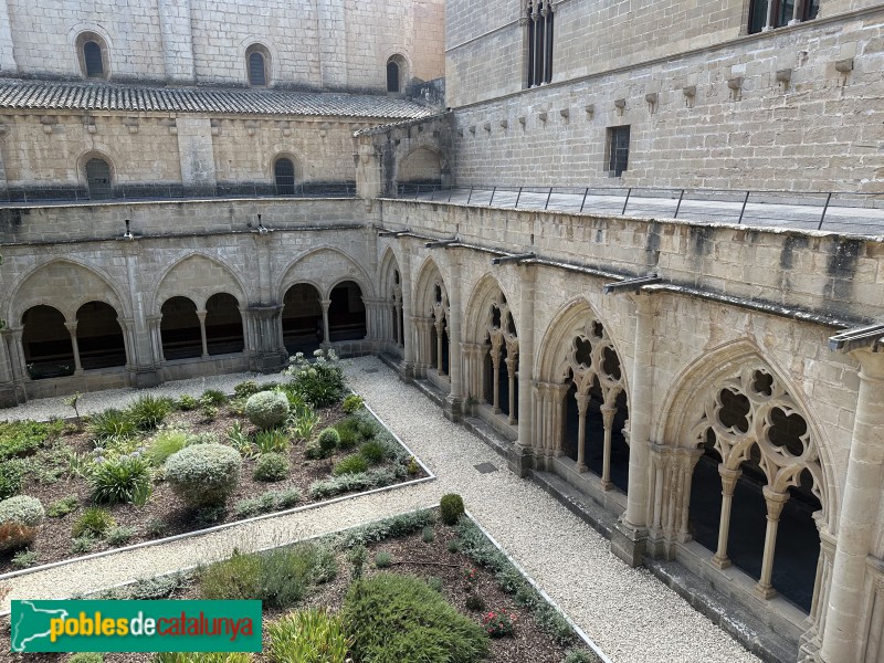 Monestir de Poblet - Claustre (Foto: Albert Esteves, 2025) Monestir de Poblet - Claustre