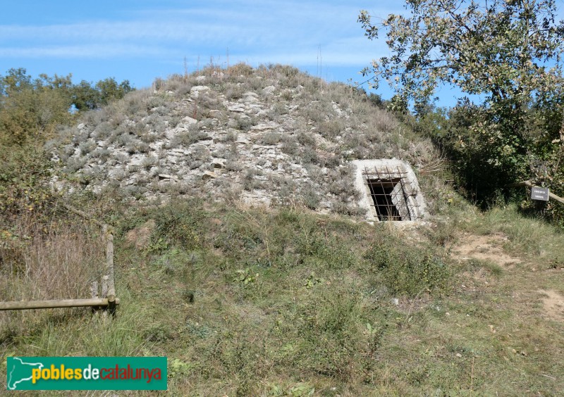 Castellterçol - Pou de glaç de la Vinyota