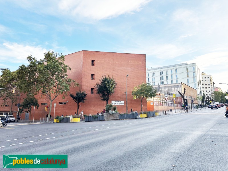 Barcelona - Escola Antoni Balmanya. Freser, 101