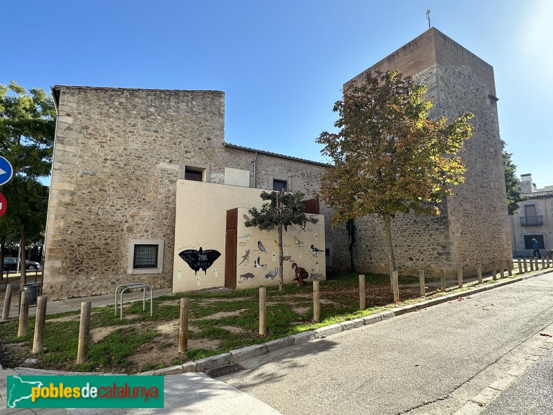 Girona - Can Ninetes