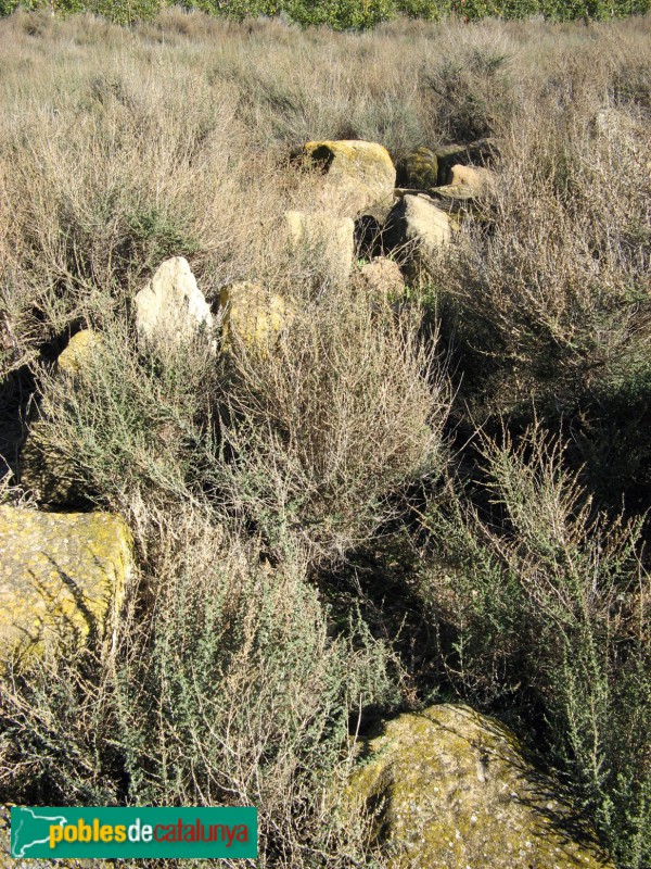 Torregrossa - Sant Bartomeu de Margalef