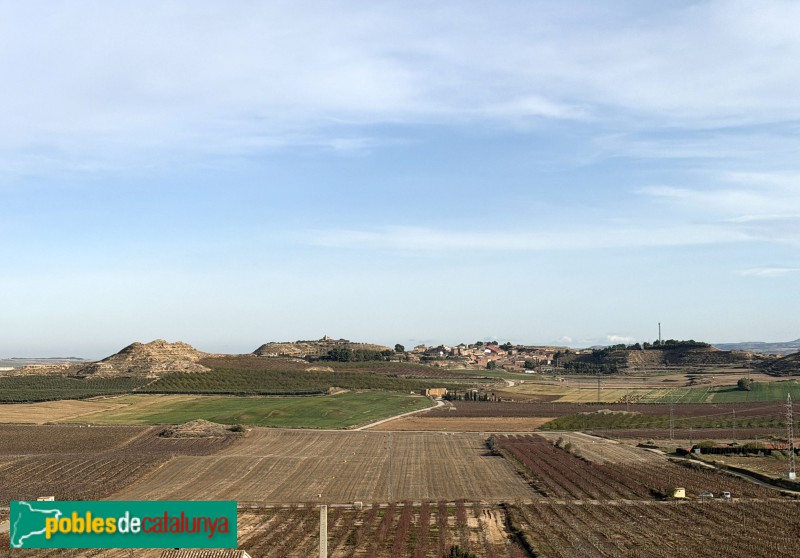 Sunyer - Panoràmica d'Alfés des del castell de Sunyer