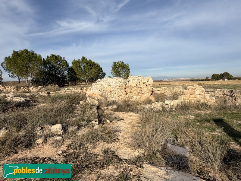 Sunyer - Restes de l'ermita de Sant Llúcia