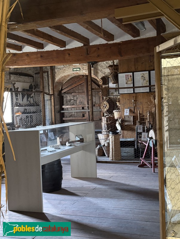 Torres de Segre - Museu de l'Evolució