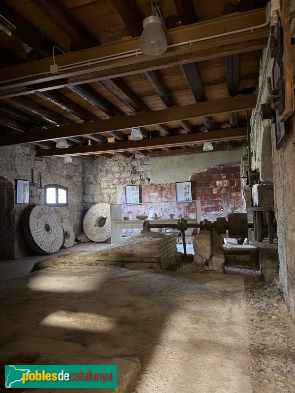 Torres de Segre - Museu de l'Evolució